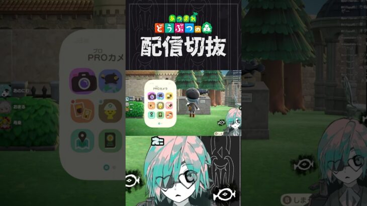 【あつ森】セレブのコレクションっぽい小物を探しています！！！　 #個人vtuber  #配信切り抜き #切り抜き動画 #あつまれどうぶつの森