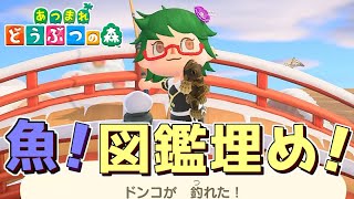 【あつ森】和風島クリエイト！ひめしずか配布するよ！(*‘ω‘ *)【狐緑とあ】#vtuber #あつ森