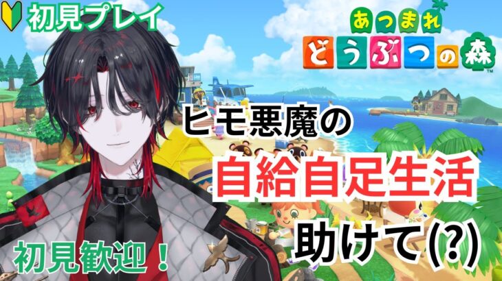 【 #あつまれどうぶつの森  】のんびり昼活！初めての #あつ森！ 【 #新人vtuber #空慕ツバメ 】