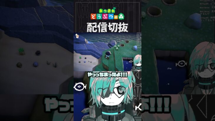 【あつ森】びかびかどくむし逃がして顔ない(事実)　 #個人vtuber  #配信切り抜き #切り抜き動画 #あつまれどうぶつの森