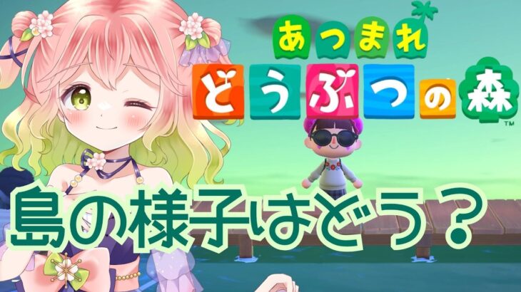 【 #あつ森 】島の様子はどうなっているかな【 #vtuber 】