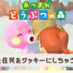 【あつ森】離島ガチャ成功なるか？？新人vtuberつるたんクッキーの０から島作り/あつまれどうぶつの森