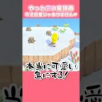 【島レイアウト】雑なのは今だけです♪【あつ森】 #vtuber #あつ森 #shorts