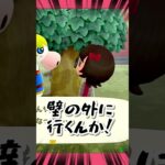 【あつ森】壁の外だけはやめとけ！ #vtuber #あつ森 #shorts