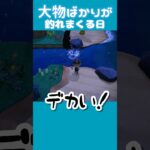 【魚影】こんな日は釣りをするに限る！【 あつ森 】 #あつ森 #vtuber #shorts