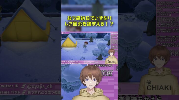 あつ森初見、初日からレア昆虫を捕まえてしまうちあき #新人vtuber #vtuber #ゲーム実況 #あつまれどうぶつの森 #あつ森