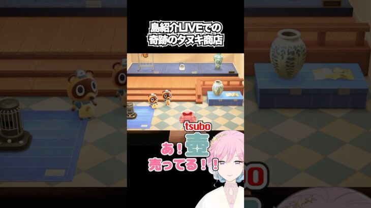 たぬきの商売⚱️ #個人vtuber #あつ森  #新人vtuber #shorts