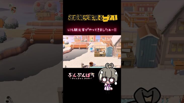 迷惑観光客・たもつ　#あつ森 #あつまれどうぶつの森  #vtuber #vtuberclips #個人vtuber #個人勢vtuber #高評価お願いします  #japanesevtuber