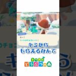 【あつ森】クロベエからの愛が重すぎるwねっとりバレンタイン