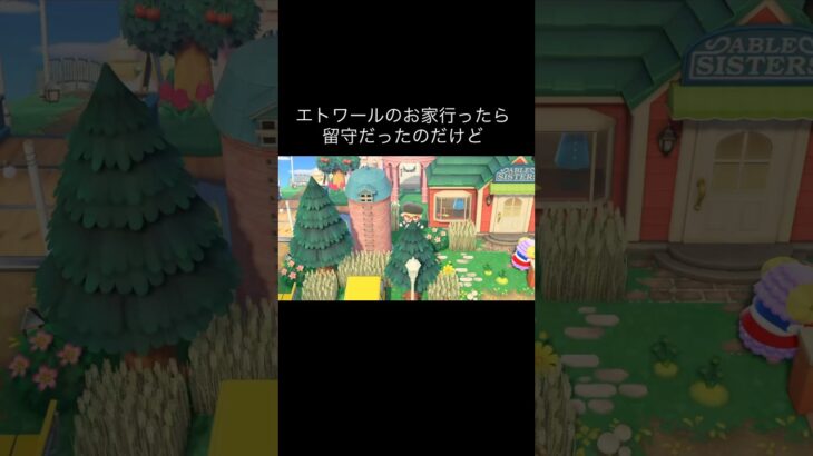 それ釣れるの❓w #あつ森 #あつまれどうぶつの森 #あつ森好きな人と繋がりたい #animalcrossing #ゆめみ #おかめなっ島 #acnh #comedy #釣り #shorts