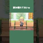 【あつ森】飲み慣れてないもの頼んで、ひと口目で後悔しかけた話w #daily #日常 #あつ森 #あつまれどうぶつの森 #shorts