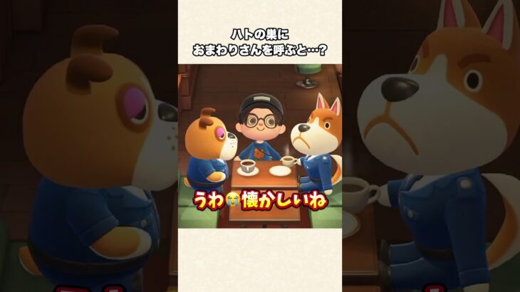 【あつ森】知ってた？ハトの巣におまわりさんを呼んだらまさかの展開w【あつまれどうぶつの森】#shorts #あつ森