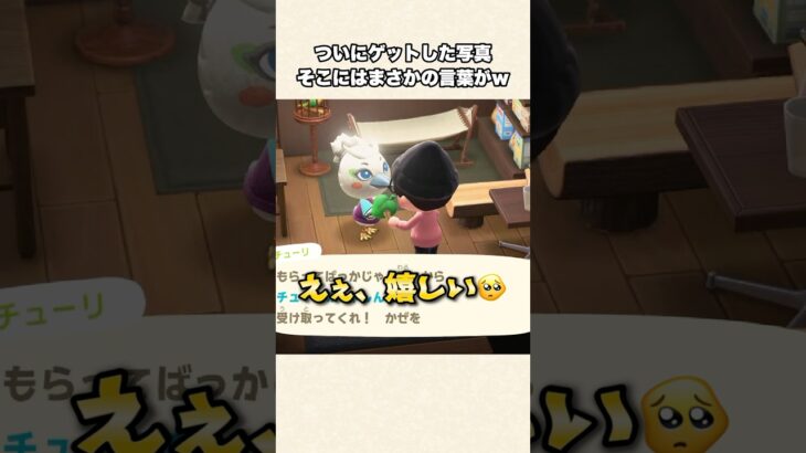 【あつ森】え！？写真の裏の言葉が衝撃的すぎたw【あつまれどうぶつの森】#shorts #あつ森