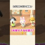 【あつ森】やばい、世界一可愛い瞬間に立ち会えたw【あつまれどうぶつの森】#shorts #あつ森