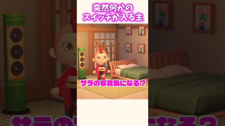【あつ森】唐突ににキャラが濃すぎる配信主ww