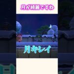 【あつ森】唐突な失礼すぎる発言ww