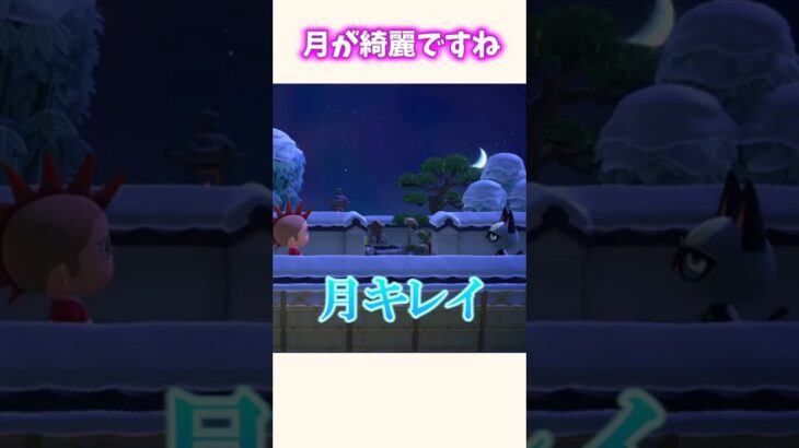 【あつ森】唐突な失礼すぎる発言ww