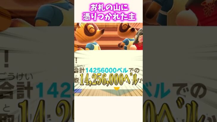 【あつ森】お札の山に取り憑かれた主の末路ww