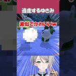 【あつ森】カーニバルで逃げ出すゆきみww　#shorts #あつまれどうぶつの森 #切り抜き