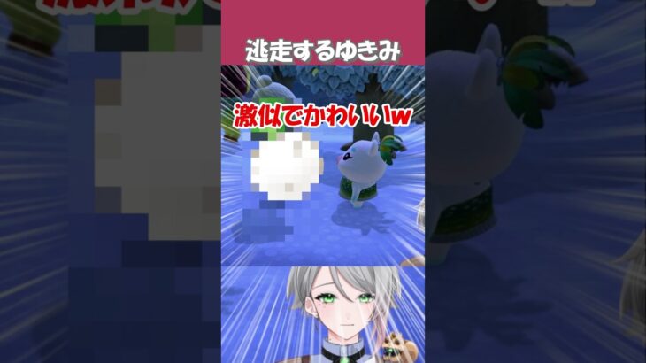 【あつ森】カーニバルで逃げ出すゆきみww　#shorts #あつまれどうぶつの森 #切り抜き