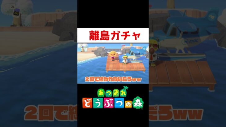 薄情すぎるピロンコンww【あつ森】#ゲーム実況 #shorts #あつ森 #離島ガチャ #厳選