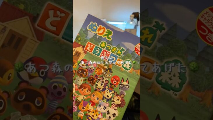 【あつ森】彼女にあつ森のぬりえを買ってあげた結果www