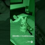 深夜にあつ森を演奏する猫 www #猫のいる暮らし #あつ森 #ai  #nintendo #shorts