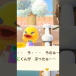 【あつ森】リチャードを泣かせてみたwww #shorts #あつ森