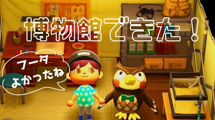 フータ大喜び！ついに博物館が完成しました！【あつ森＃02】