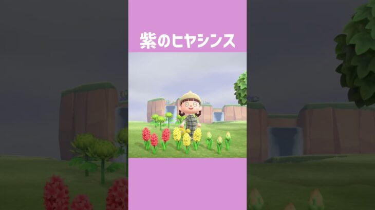 [あつ森]オレンジ1輪🧡 #あつまれどうぶつの森