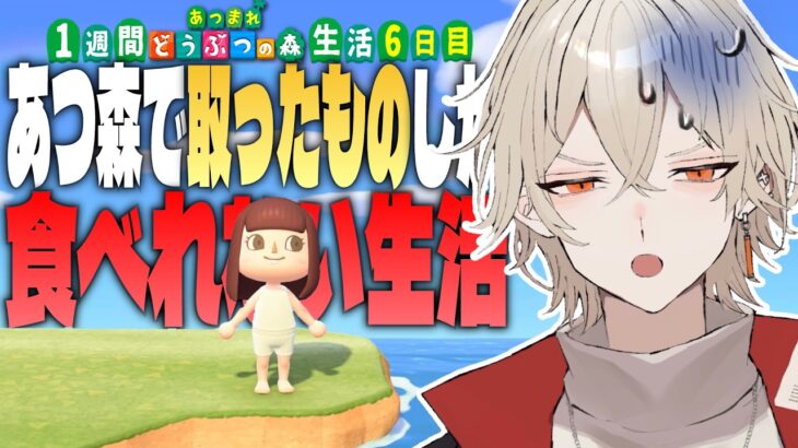 【あつ森】1週間あつ森で取れた物しか食べれない生活 -6日目-【新人vtuber / 弐十】