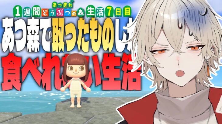 【あつ森】1週間あつ森で取れた物しか食べれない生活 -7日目 最終回-【新人vtuber / 弐十】