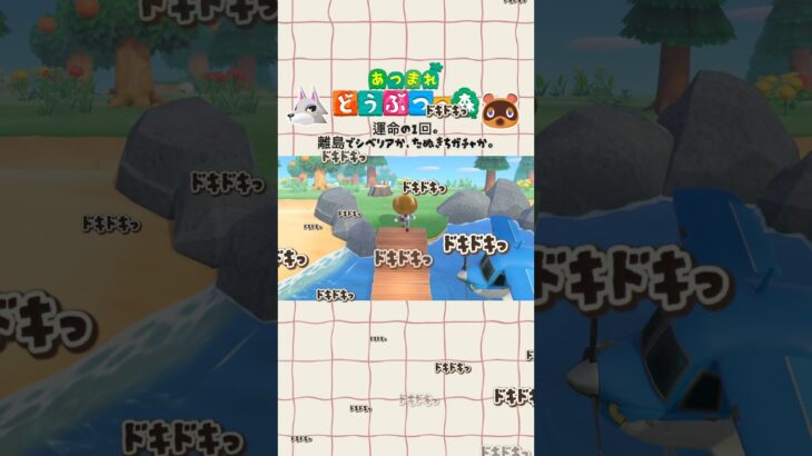 【あつ森】 運命の1回 #あつ森 #あつまれどうぶつの森 #shorts