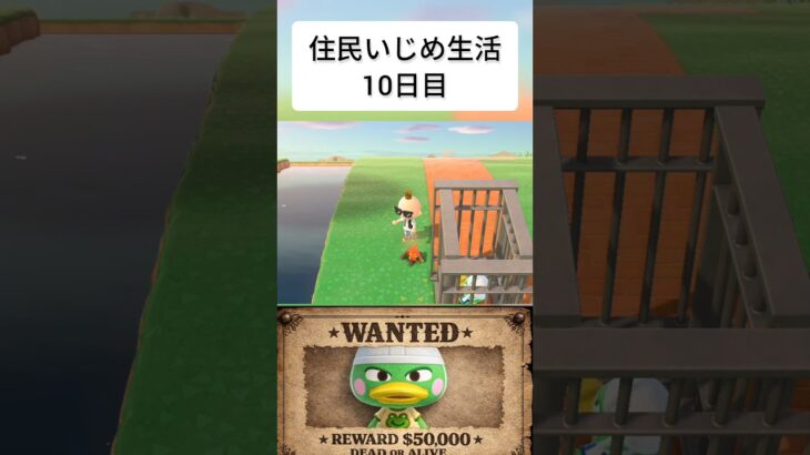【あつ森】住民いじめ生活10日目#あつ森 #あつまれどうぶつの森 #おすすめ #shorts