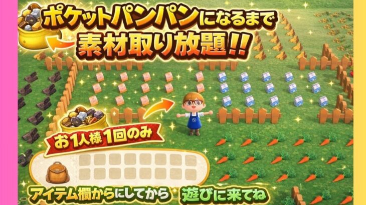 【あつ森】ポケットパンパンになるまで素材取り放題★お1人様1回のみ♬来ないと損だよヾ(≧▽≦)ﾉ無くなり次第終了！！