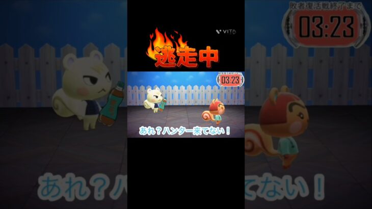 【あつ森アニメ】逃走中第12話#あつ森アニメ#あつ森逃走中#逃走中#あつ森逃走中