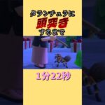 タランチュラに頭突きするまで1分22秒#あつ森 #あつまれどうぶつの森 #shorts