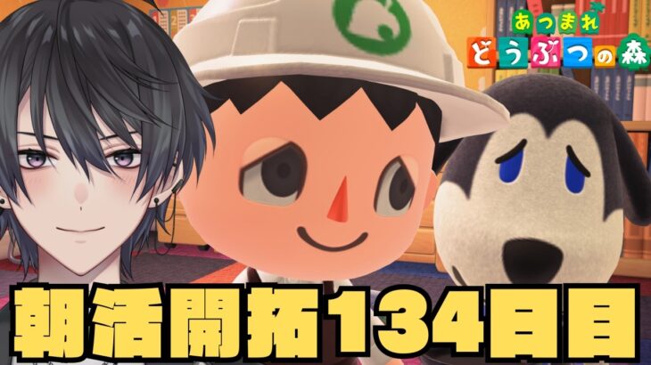 【あつ森】134日目のあつ森朝活配信【あつまれどうぶつの森】