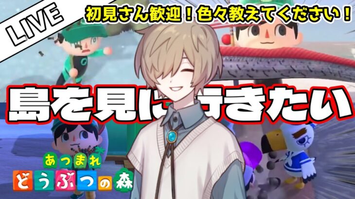 【初見あつ森】島生活14日目！これから何しようかな～？初心者に色々教えてください！【あつまれどうぶつの森】