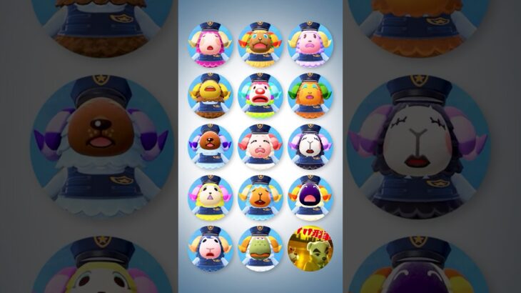 【けけけいじ】全14種類のヒツジちゃちゃポリス出動！ #あつ森 #けけアイドル #animalcrossing #あつまれどうぶつの森