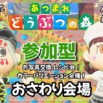 #144【あつ森】ジムノエ島のおさわり会！