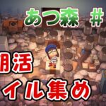 【あつ森 #17】朝活マイル集め