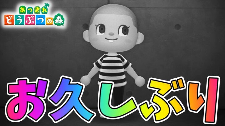 【あつ森】ついにこのゲームに手を出す一級建築士【#あつまれどうぶつの森 / #一級建築士 / #18】