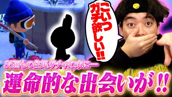 【ボド森#19後編】35回もの住民ガチャの末、運命的な出会いを果たし大興奮のボドカ【あつまれ どうぶつの森】