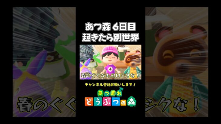 【あつ森】初心者の島が1日で別世界にwww【あつまれ どうぶつの森】#あつ森 #あつまれどうぶつの森 #shorts