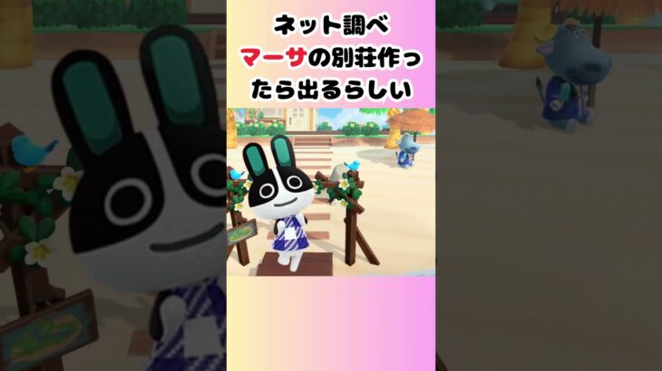 ハピパラで2ヶ月厳選した結果… #あつ森 #ハピパラ #あるある