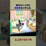 【あつ森】2人の闇