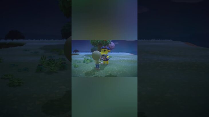 【こたまるゲーム動画】あつ森2 -1紹介#shorts  #あつ森 #あつまれどうぶつの森