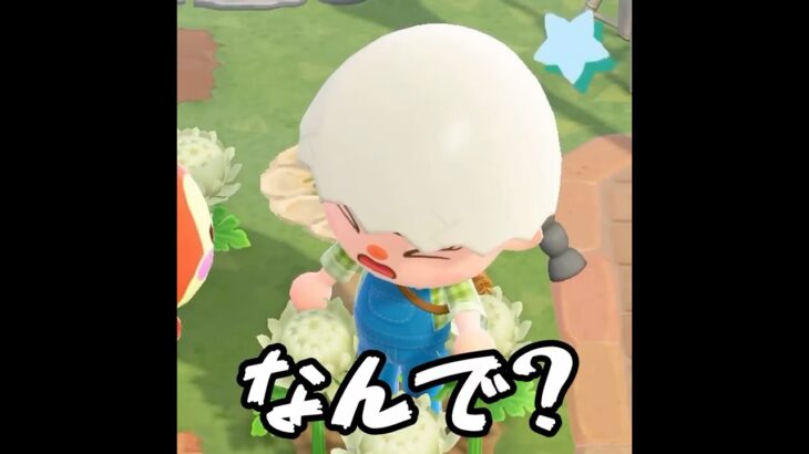 【あつ森】第2回！住民リレーがまさかの展開に・・・ #shorts #あつ森 #あつまれどうぶつの森