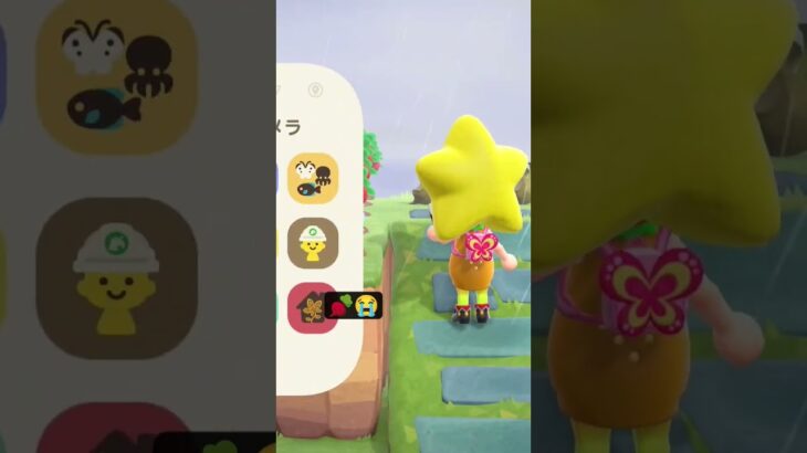 🫜2週間連続…　 #あつ森 #あつまれどうぶつの森 #任天堂 #switch #animal　#switch2　#ゲーム